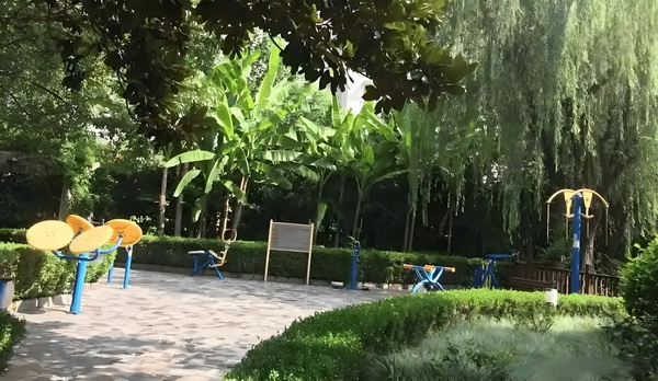 2025深圳落户应届生_程潇曾确诊精神疾病与梁朝伟传闻早真相大白 官方还未消息任何发布